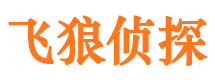 浔阳市婚姻出轨调查